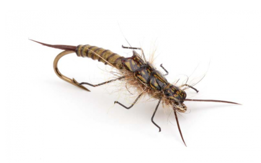 PRO SPORTFISHER - STONEFLY BACKS