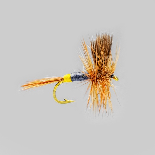 Beaverkill Femelle (SÈCHE)