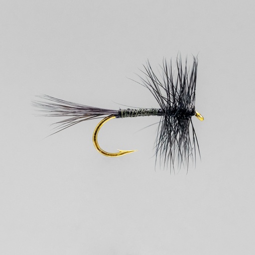 Black Variant (SÈCHE)