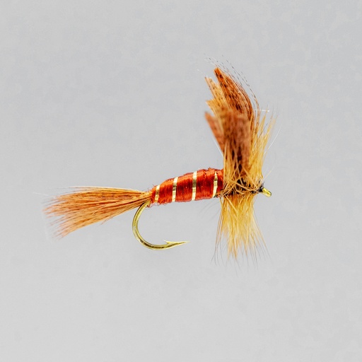 Brown May (SÈCHE)