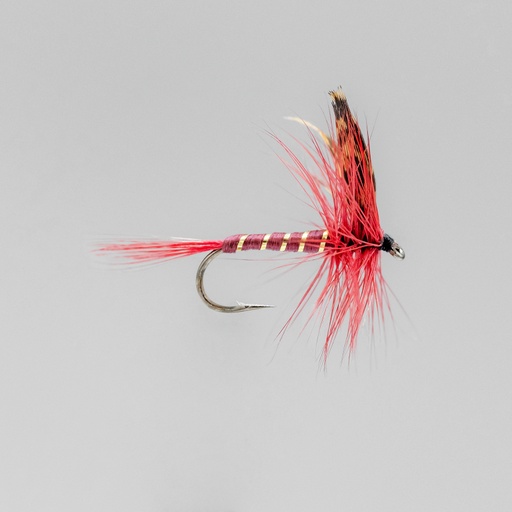 NEPTUNE FLIES - Dark Montreal (DRY)