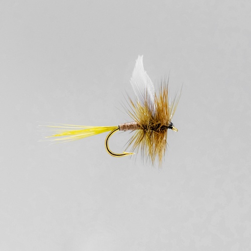Light Olive Quill (SÈCHE)