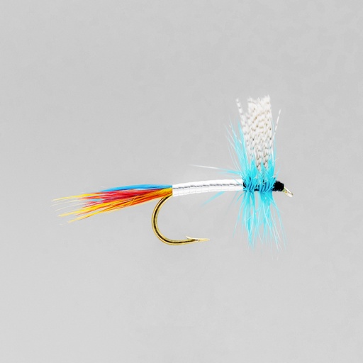 Silver Doctor (SÈCHE)