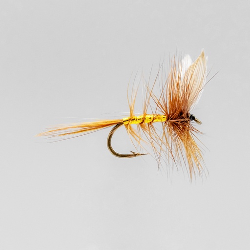 Wickham Fancy (SÈCHE)
