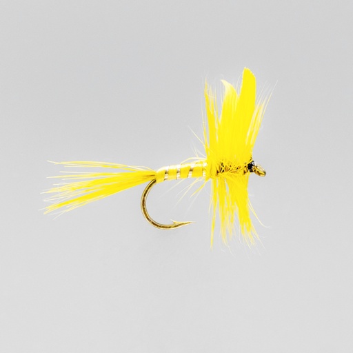 [001-14918] Yellow Sally (SÈCHE)