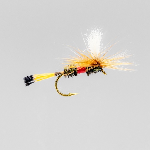Royal Coachman Parachute (SÈCHE)