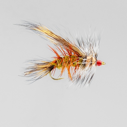 Olive Stimulator (SÈCHE)