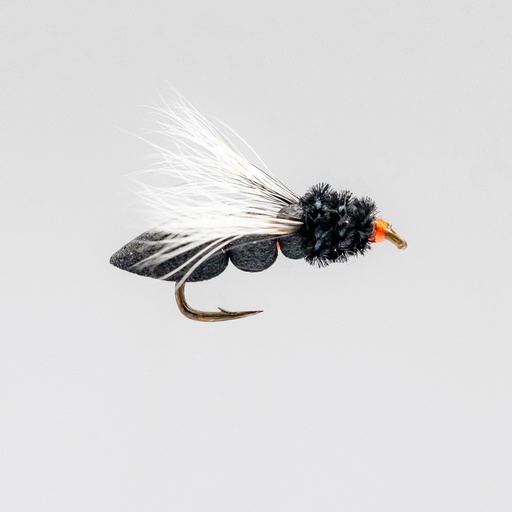 Black Delta (SÈCHE)