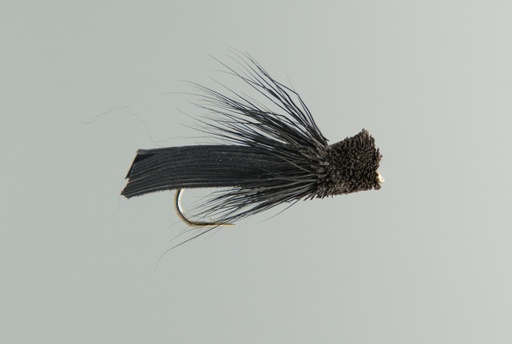 Letort Cricket (SÈCHE)