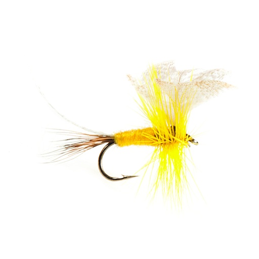 Yellow Imago Mayfly (SÈCHE)