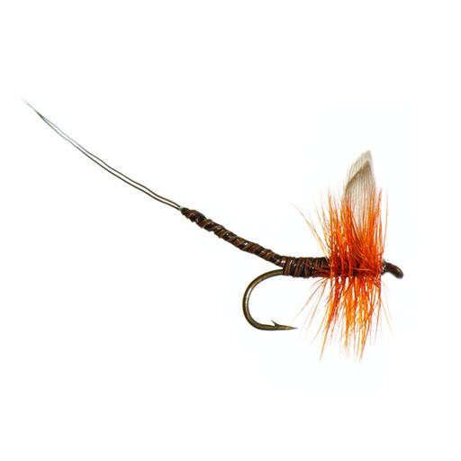 Ginger Quill Extended Body Mayfly (SÈCHE)
