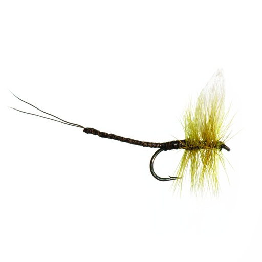 Olive Quill Extended Body Mayfly (SÈCHE)