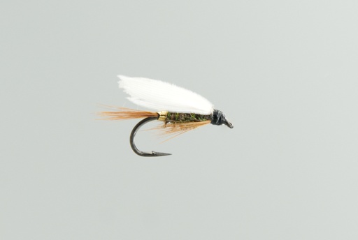 Coachman (NOYÉE)