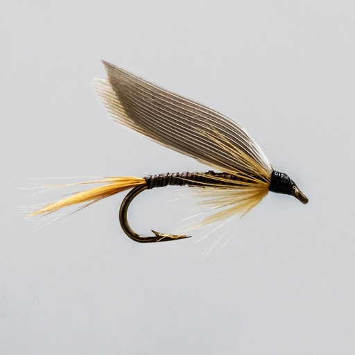 Ginger Quill (NOYÉE)