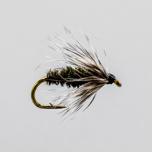 Grey Hackle (NOYÉE)