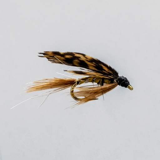 March Brown (NOYÉE)