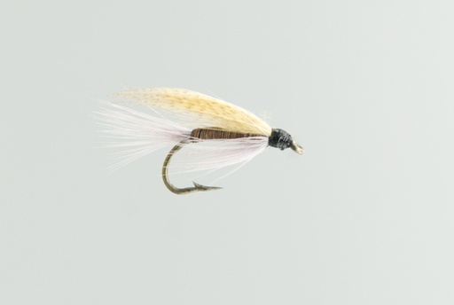 Quill Gordon (NOYÉE)