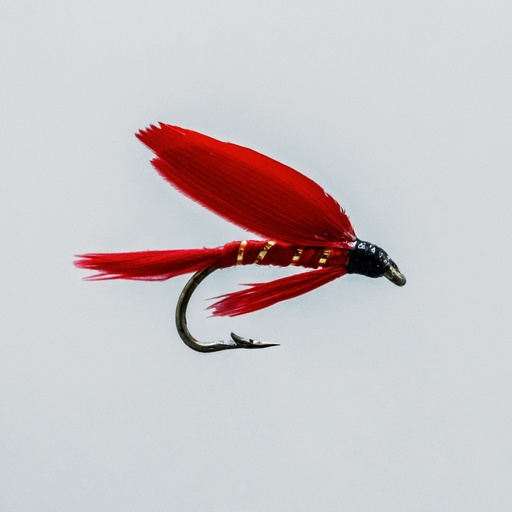 Red Ibis (NOYÉE)