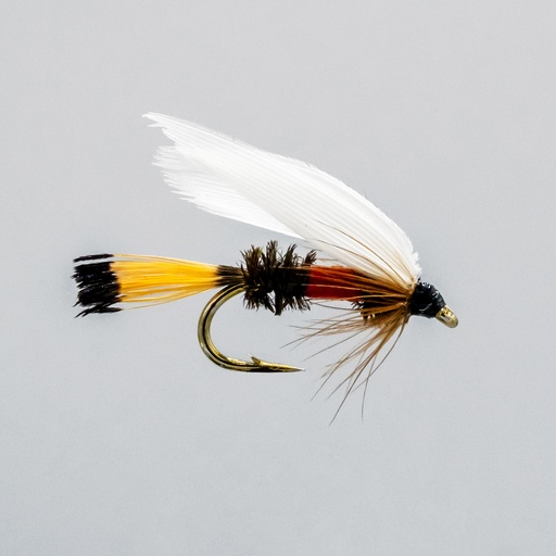 Royal Coachman (NOYÉE)