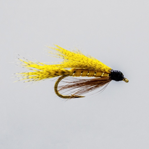 Yellow May (NOYÉE)