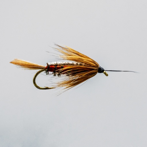 Brown 13A (NYMPH)