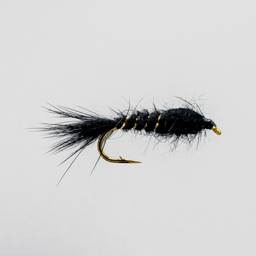 Black Hare's Ear (NYMPH)