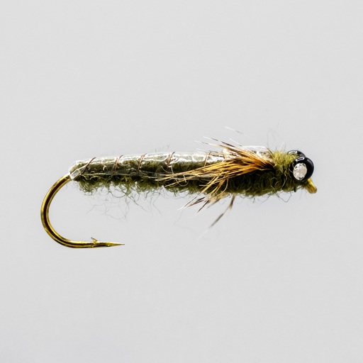 Olive Dragon (NYMPH)