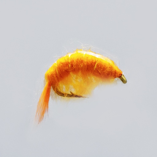 Orange Scud (NYMPH)