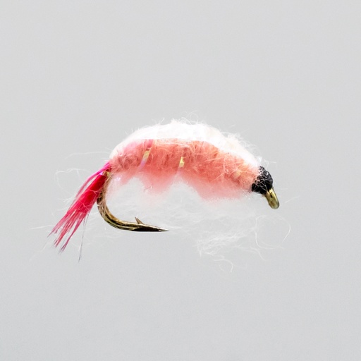 Pink Scud (NYMPHE)