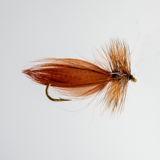 Brown hornberg