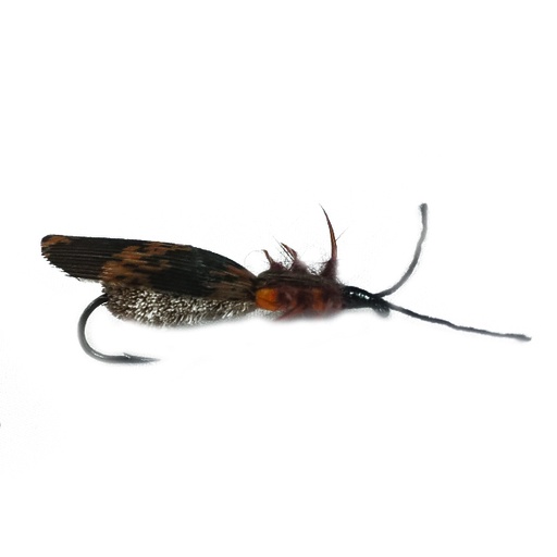 NEPTUNE FLIES - Adult Stone Fly