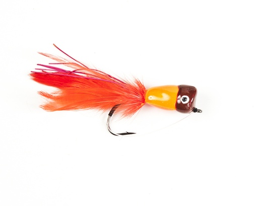 POPPER Orange &amp; Brown