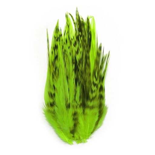 SHOR - CHINCHILLA HACKLE 6-8in