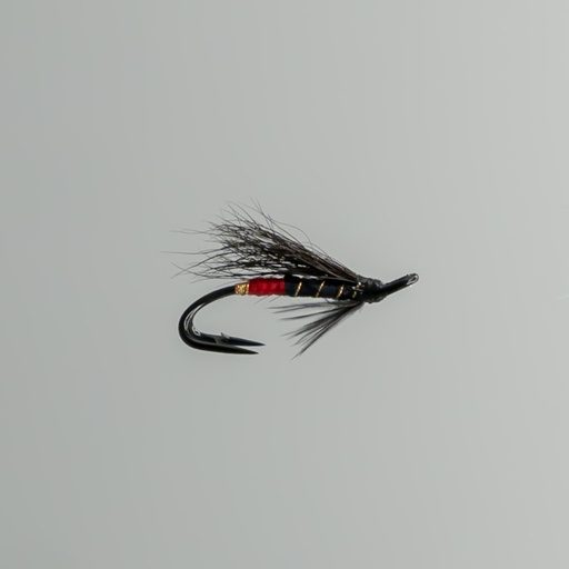 Black Bear Red butt - DOUBLE HOOK