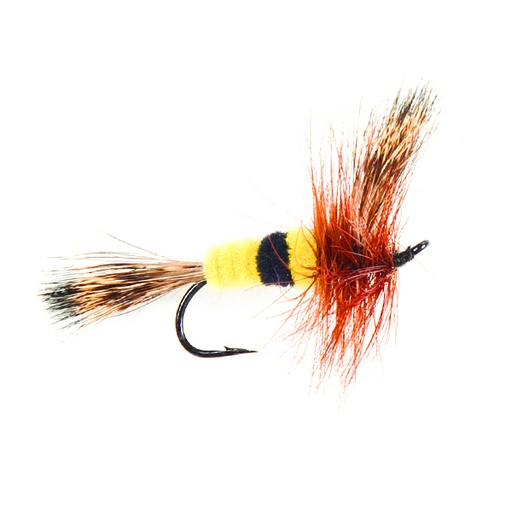 [074-100104] NEPTUNE FLIES - Salmon Bee Wulff