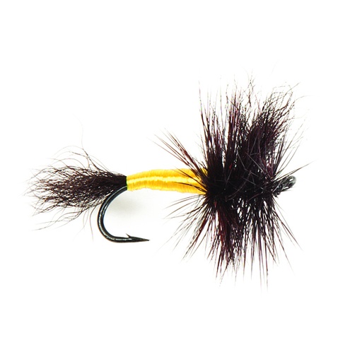 Salmon Black Wulff