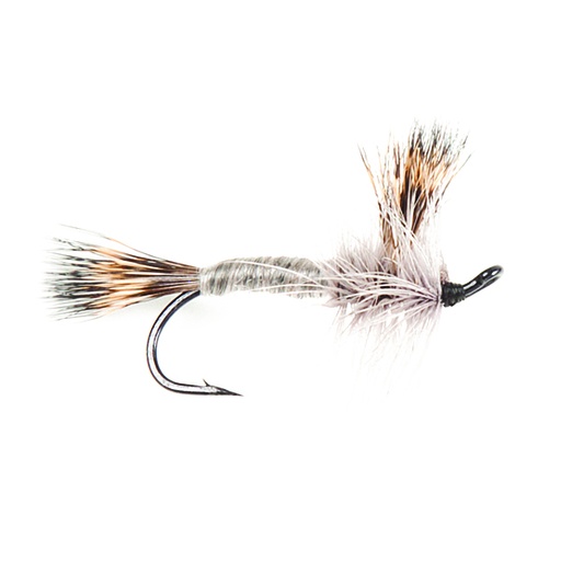 Salmon  Grey Wulff