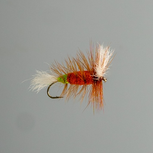 Orange Salmon Killer Whisker 