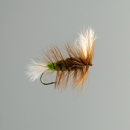 Olive Salmon Killer Whisker