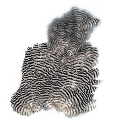 [GRMAP] SHOR - GRIZZLY BODY MARABOU PATCH (CHICKABOU)