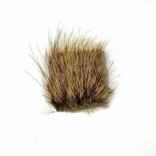 [SHNUTRIA] SHOR - NUTRIA