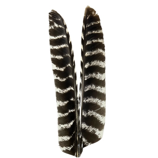[QU5D] SHOR - TURKEY BIOT BROWN AND WHITE (PR)