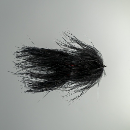 Galloup's TA leech