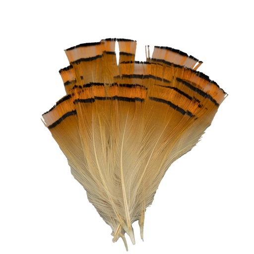 SHOR - COLLERETTE DE FAISAN DORE 12 PLUMES