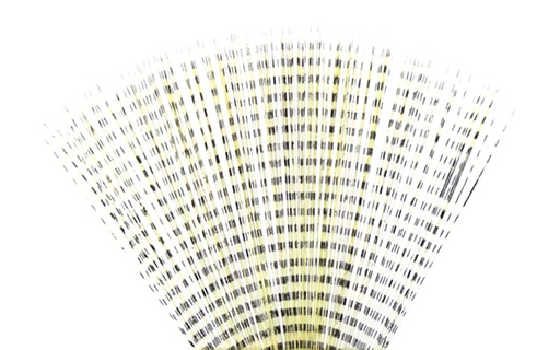 [STB-59] TEXTREME - SPINNER TAIL BARRED