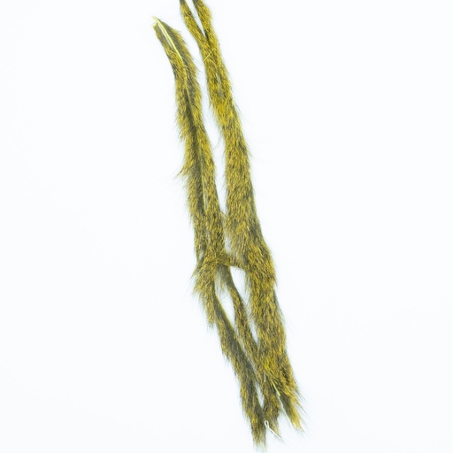 SHOR - PINE SQUIRREL MICRO ZONKER STRIP