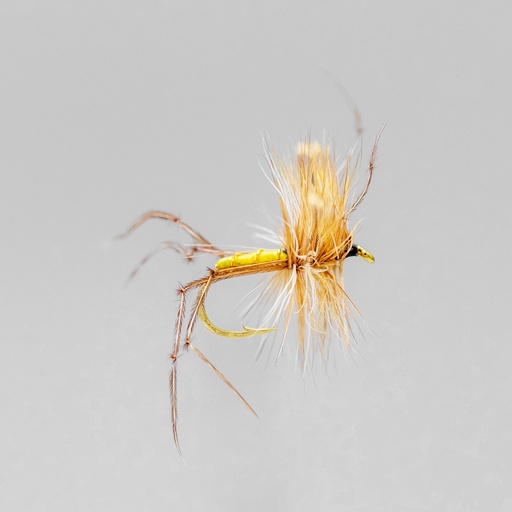 [001-11914-1] Crane Fly