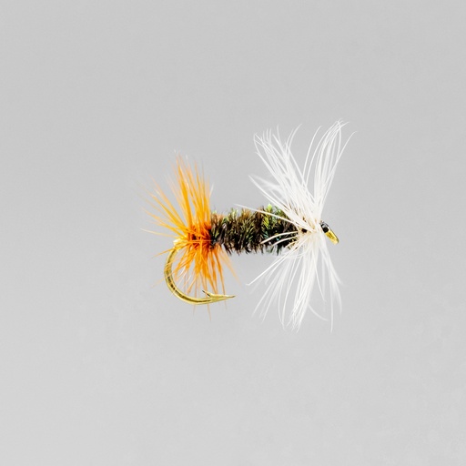 [001-14112-1] Renegade