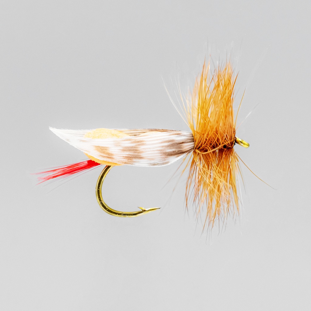 Orange Foam Body | SHOR FISHING