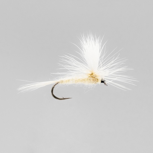 [004-20516-1] Light Cahill Parachute